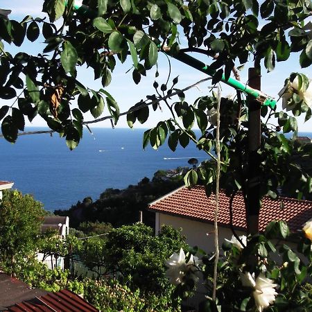 Le Mimose Villa Vietri Eksteriør bilde