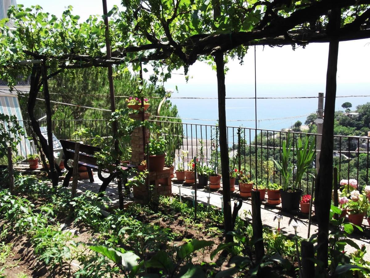 Le Mimose Villa Vietri Eksteriør bilde