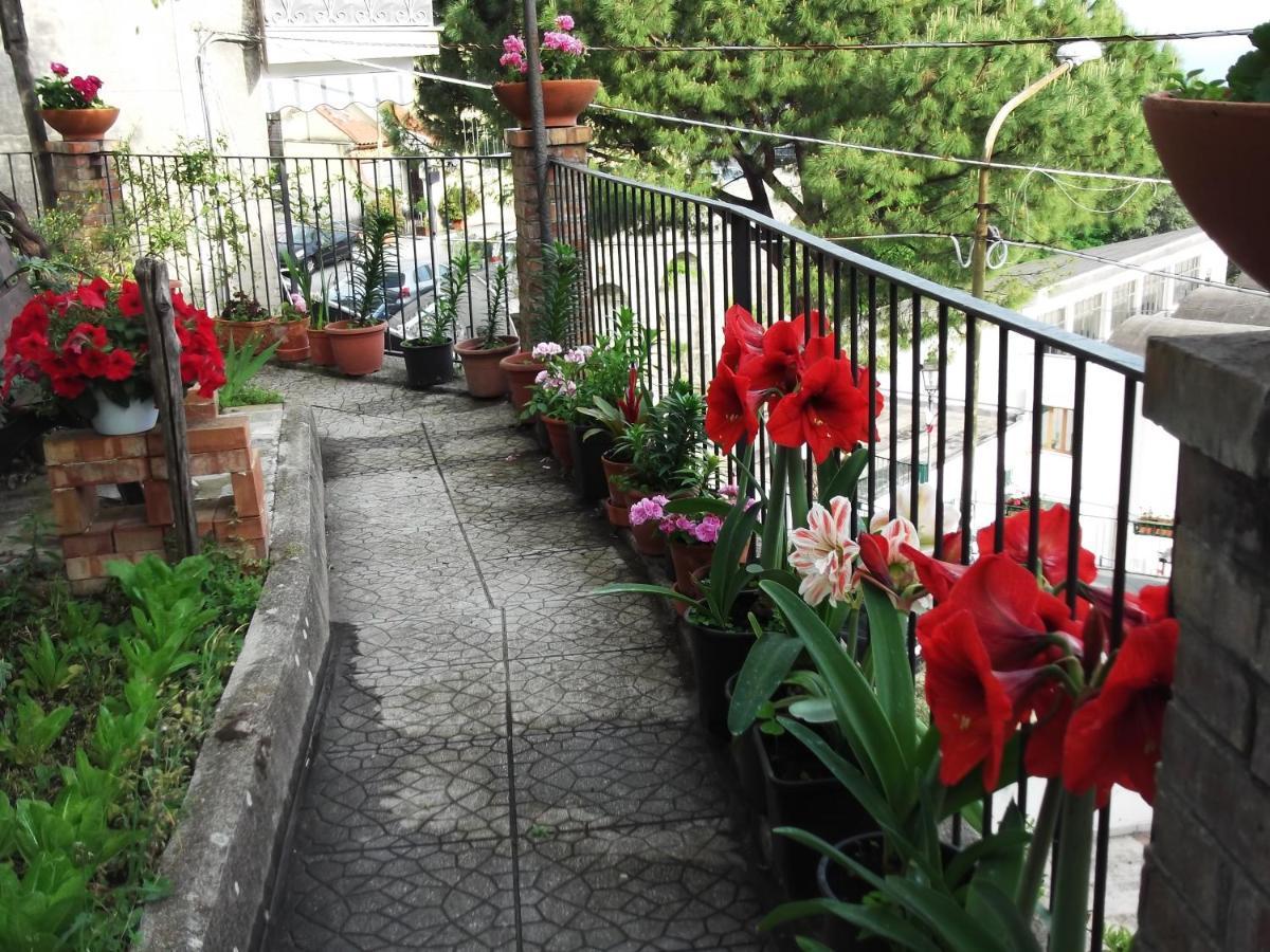 Le Mimose Villa Vietri Eksteriør bilde