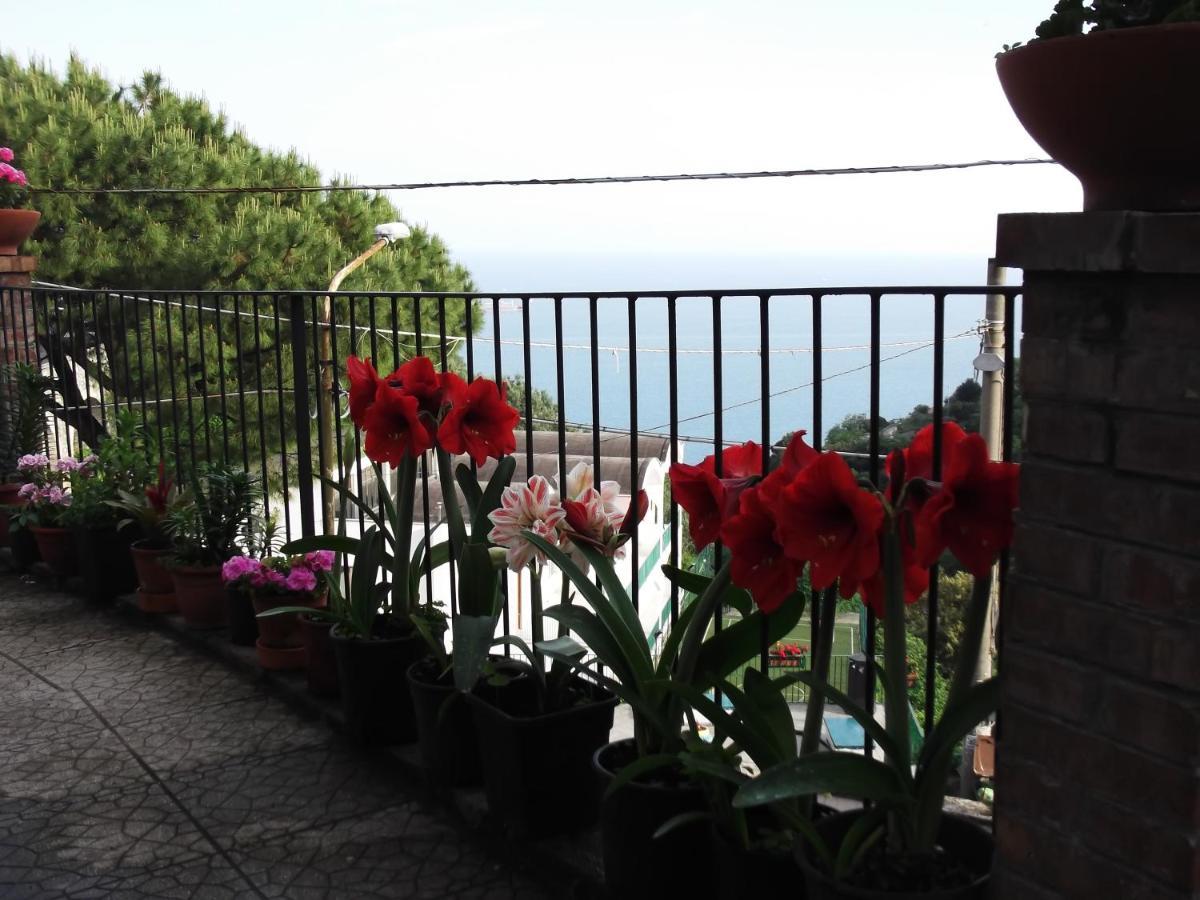 Le Mimose Villa Vietri Eksteriør bilde