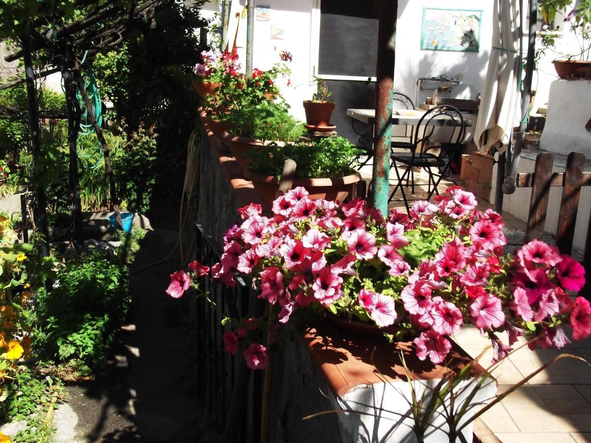 Le Mimose Villa Vietri Eksteriør bilde