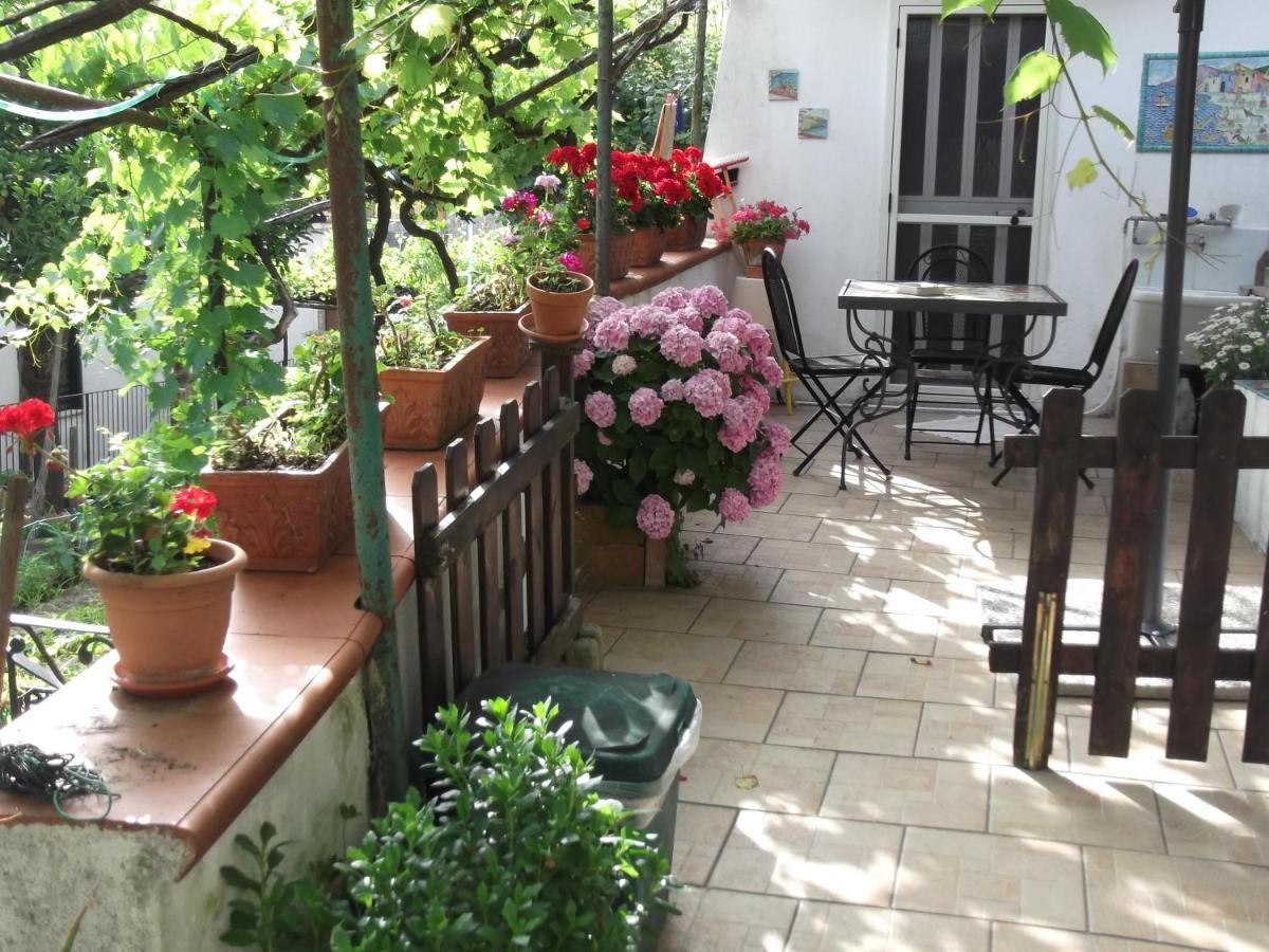Le Mimose Villa Vietri Eksteriør bilde