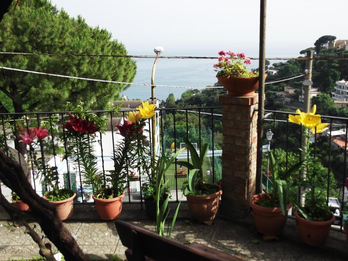 Le Mimose Villa Vietri Eksteriør bilde