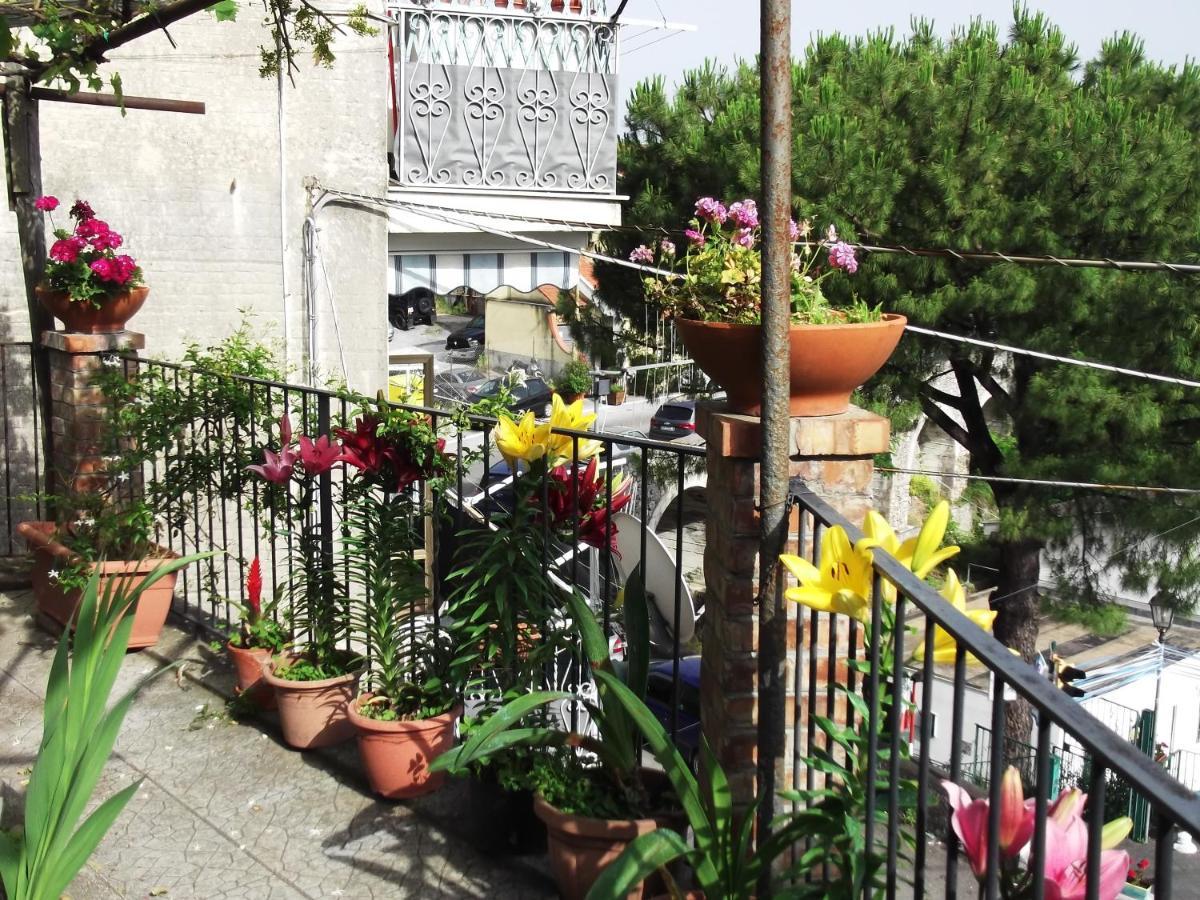 Le Mimose Villa Vietri Eksteriør bilde