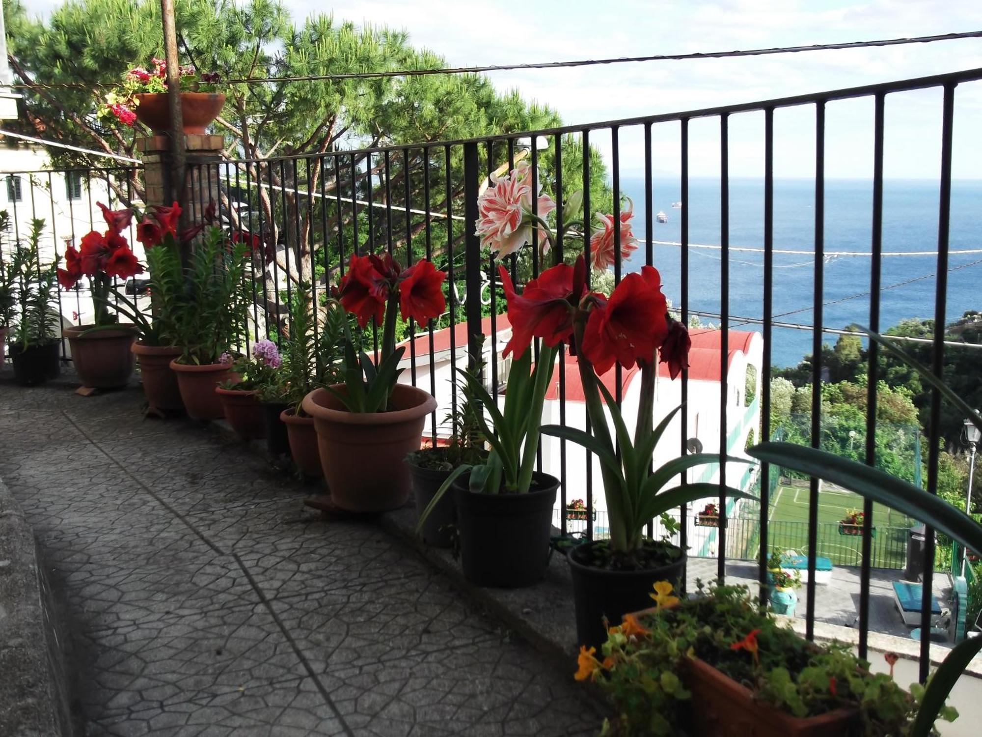 Le Mimose Villa Vietri Eksteriør bilde