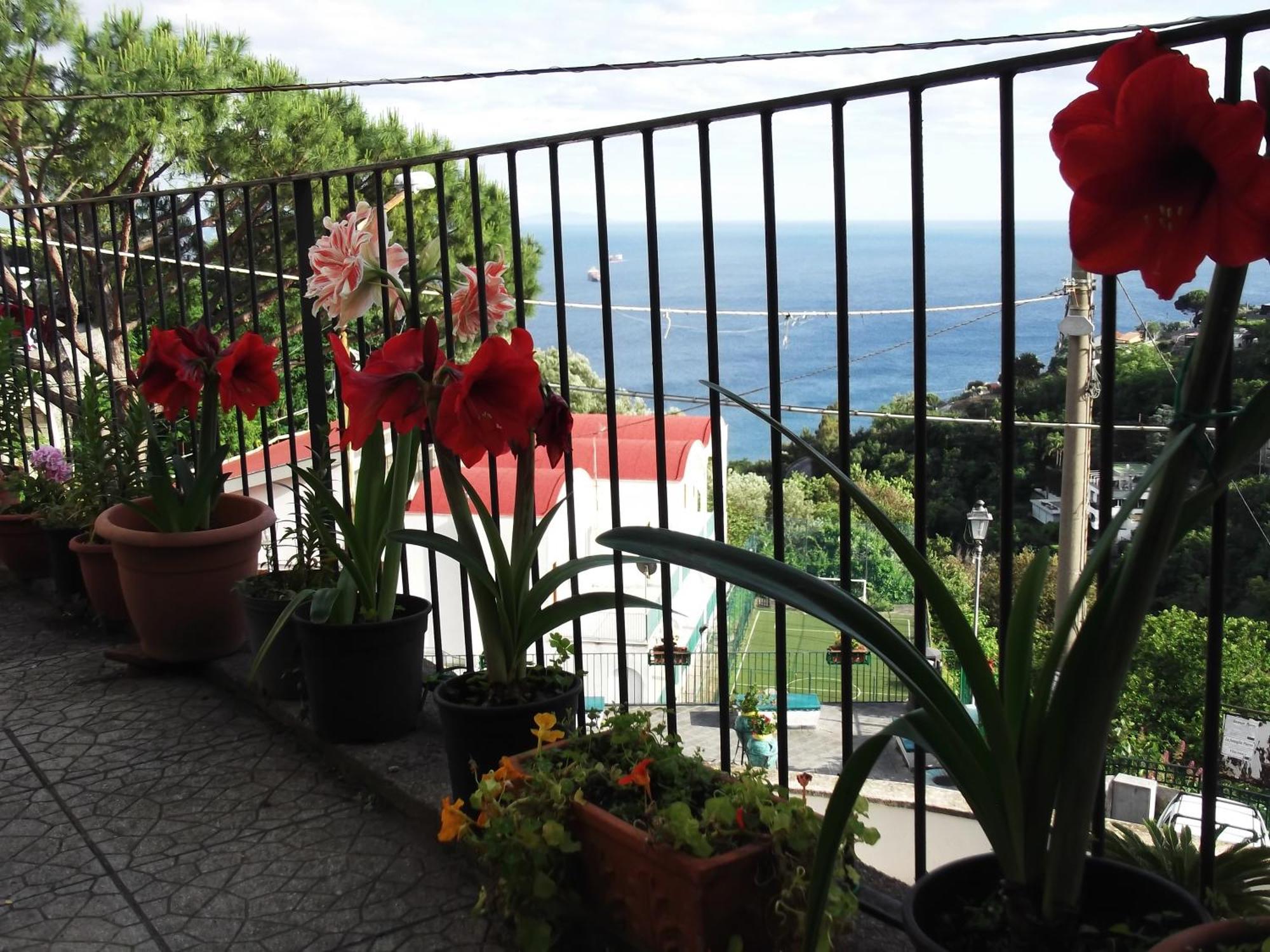 Le Mimose Villa Vietri Eksteriør bilde