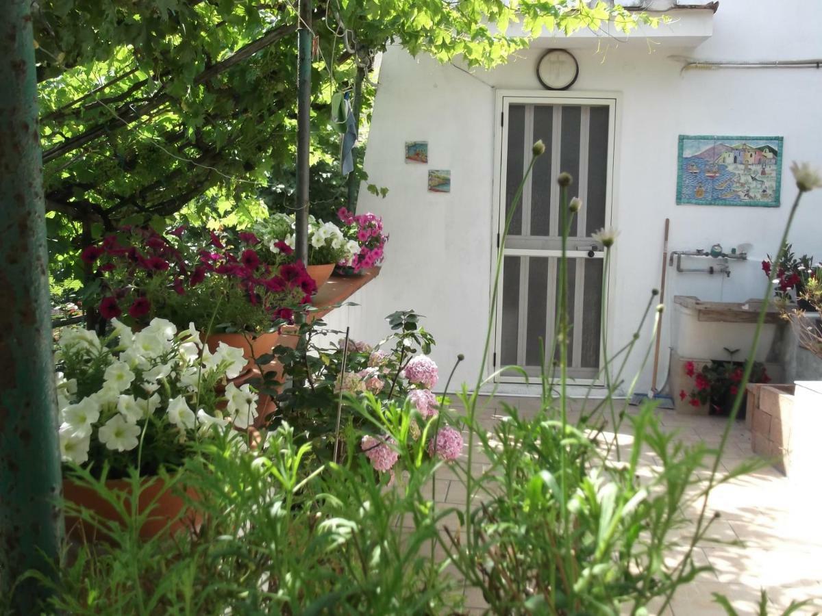 Le Mimose Villa Vietri Eksteriør bilde