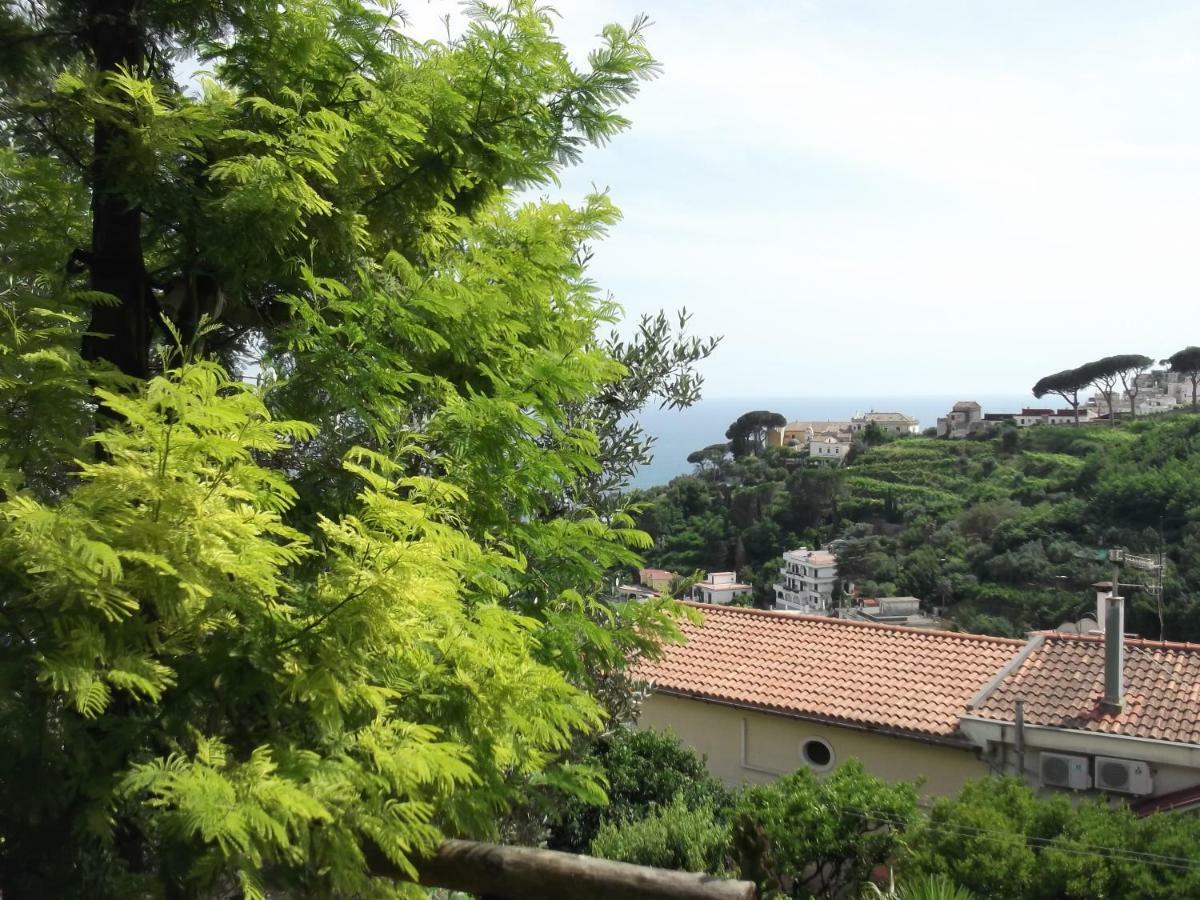 Le Mimose Villa Vietri Eksteriør bilde