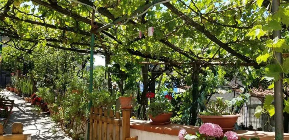 Le Mimose Villa Vietri Eksteriør bilde